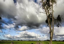 B体育官网：多3场！西蒙斯2年打61场，恩比德58场，有点意思啊.