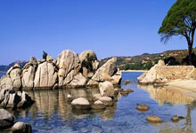 B体育官网：08年小牛7换1得到基德，那时送走的球员发展如何？一人躺着赚钱.